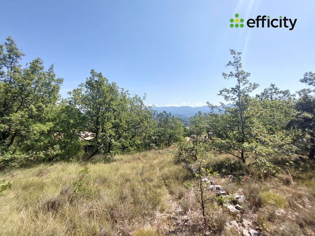 Terrain PEIPIN (04200) IMMOBILIER-SUD